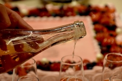 Kadri Voorandi albumi “In Duo with Mihkel Mälgand” esitlus (foto: 15/24)