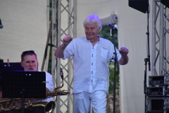 Ivo Linna