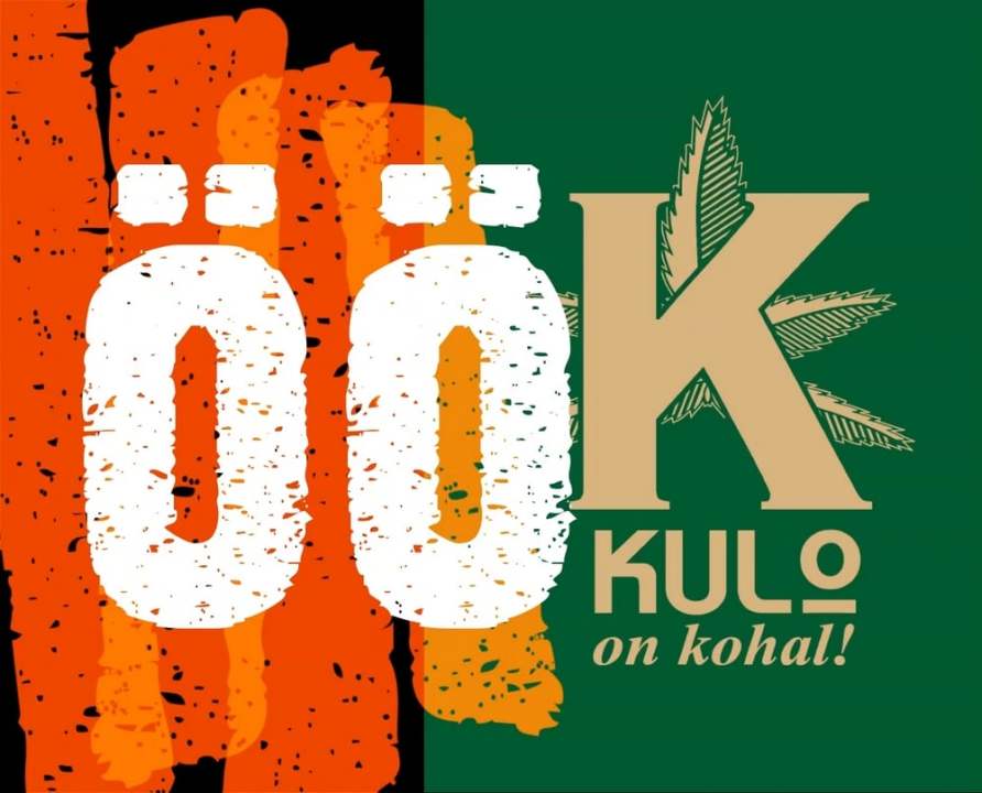 KULO AVALIKUSTAS VÄRSKE SINKU “ÖÖ”