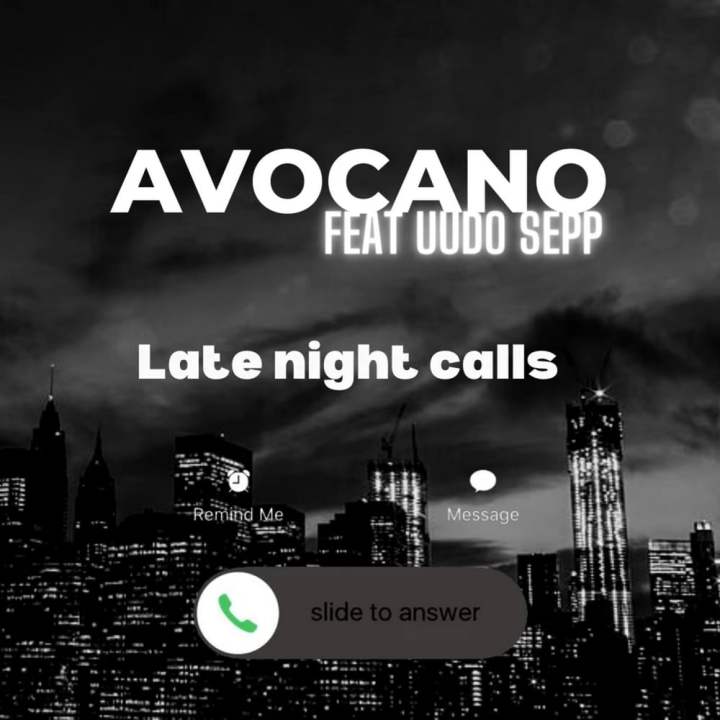 AVOCANO JA UUDO SEPP AVALDASID ÜHISE SINGLI “LATE NIGHT CALLS”