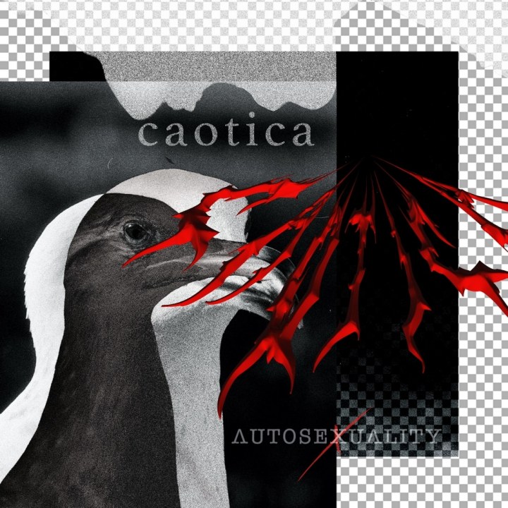 AUTOSEXUALITY AVALDAS DEBÜÜTALBUMI “CAOTICA”
