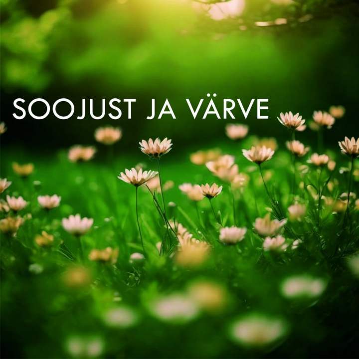 RODERIC H JA LIANA ZEIGO AVALDASID LAULU “SOOJUST JA VÄRVE”