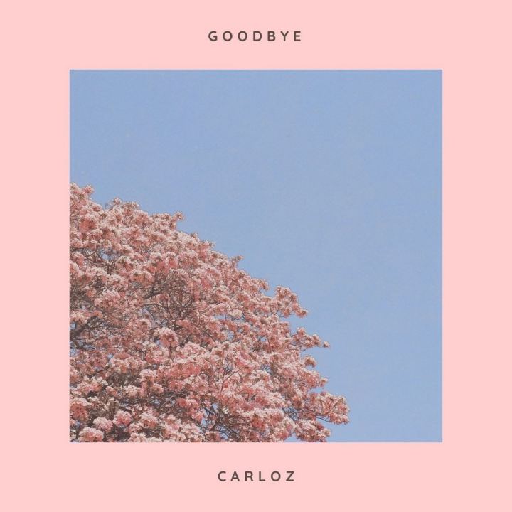 CARLOZ AVALDAS MEGAMÕNUSA EMOTSIONAALSE SUVISE TANTSUSINGLI “GOODBYE”
