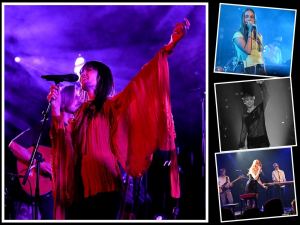 Kollaaž : Anna Kaneelina, Eleryn Tiit, OLLIE, Rita Ray (foto: MuusikaPlaneet)